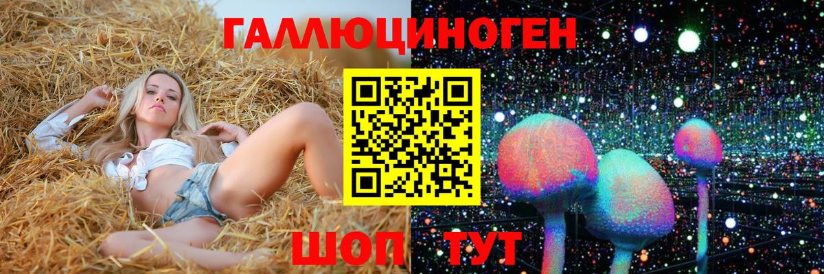 Псилоцибиновые грибы Psilocybine cubensis  Галлюциногенные грибы прущие грибы  Вход с VPN  Балтийск 